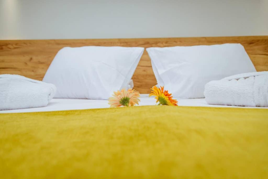 Iliovasilema Apartments 엘라포니시 외부 사진